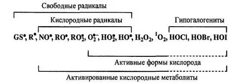 Кислородные радикалы