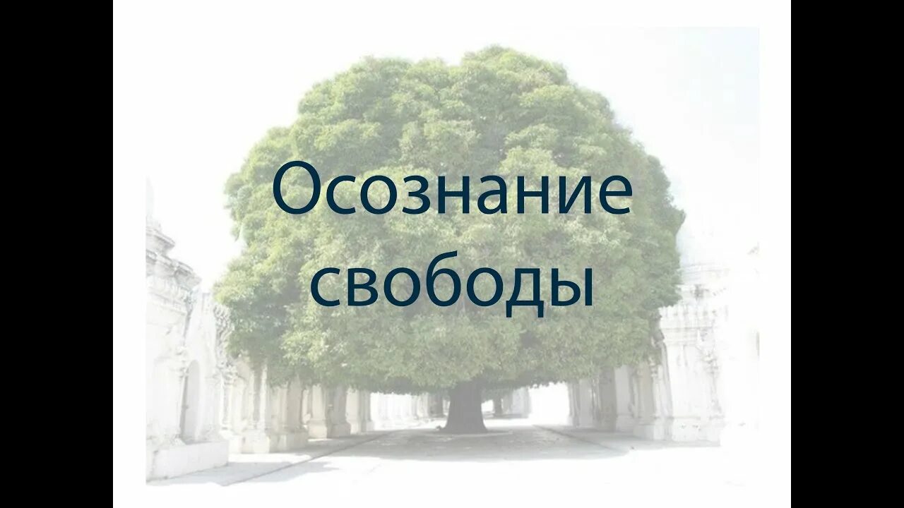 Свобода это осознанная необходимость. Свобода осознание необходимости. Свобода есть осознанная необходимость Автор. Свобода это осознанная необходимость кто сказал.