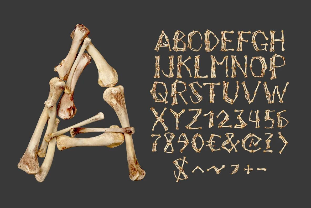 Шрифт кости. Bones шрифт. Bony fonts. Bones текст.