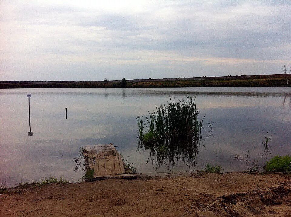 МЕДАЕВСКИЙ пруд Мордовия. Алферовский пруд Мордовия. Зайцевский пруд Мордовия. Пруд Масловка Мордовия. Пруды мордовии