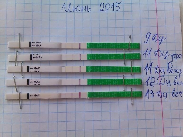 Тянет живот после овуляции. После овуляции болит низ живота. побаливает низ живота до месячных. тянет живот после месячных.