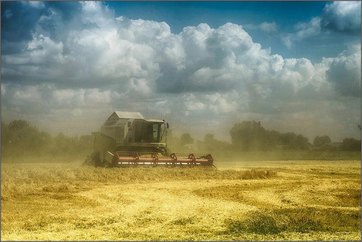 битва за урожай. битва за урожай картинки.