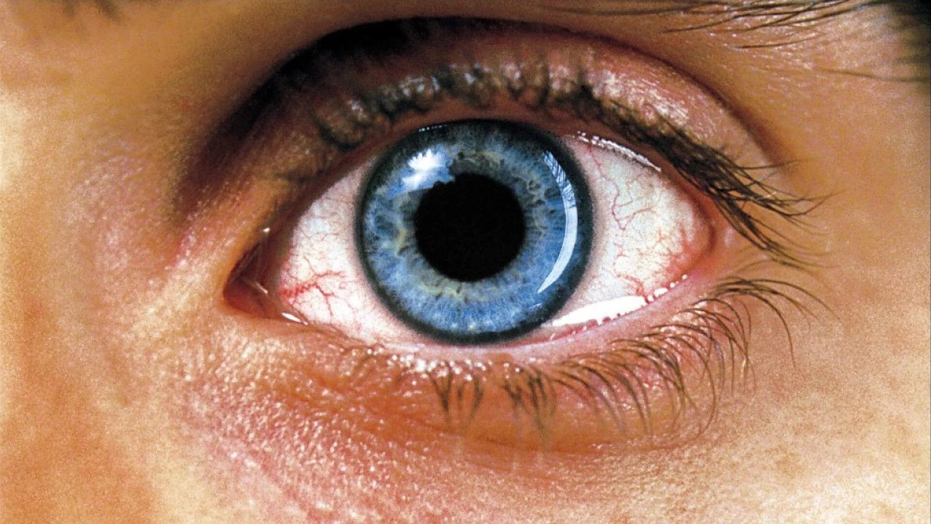 Eye dream. Дженнифер коннелли реквием по мечте (2000). реквием по мечте кадры из фильма. реквием по мечте фильм глаз. реквием по мечте  requiem for a dream (2000).