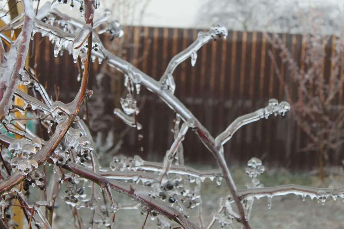 Ледяной дождь 13 февраля. Ледяной дождь. Ледяной дождь. Сильный ледяной дождь. Ледяной дождь в москве 2010.