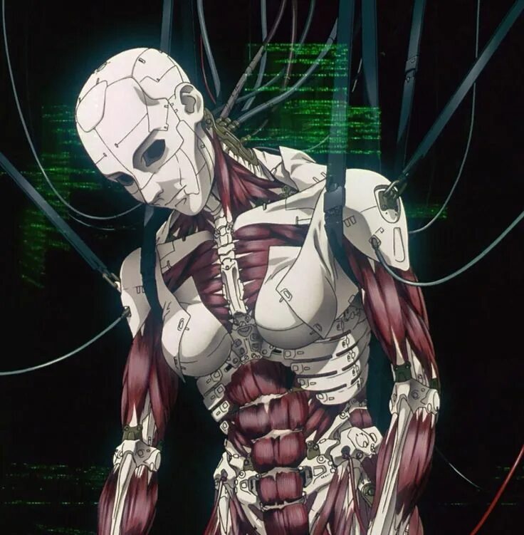 Киборг создание. Ghost in the shell 1995. кибермозг призрак в доспехах. ghost in the shell киборг.