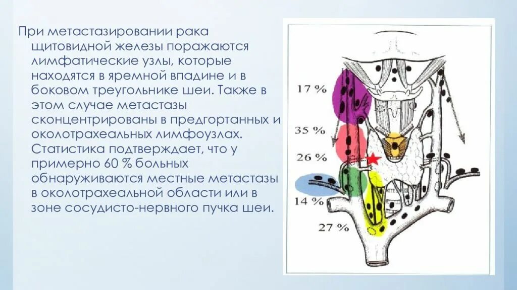 Лимфатические узлы щитовидной железы анатомия. Регионарные лимфоузлы щитовидной железы. Лимфатические узлы шеи кт анатомия. Лимфоотток щитовидной железы. Лимфоузлы на щитовидке