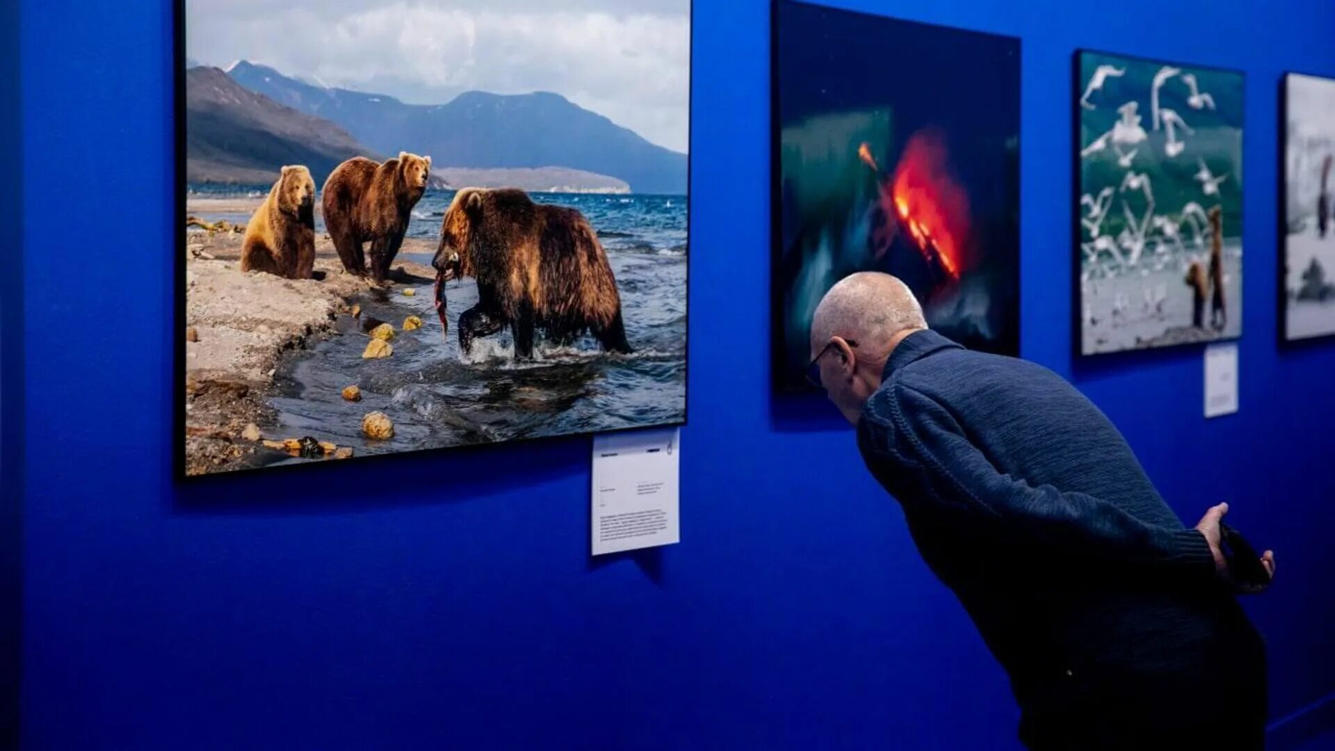 Фотовыставка "Удивительная природа Вологодской области", организованная ВоГУ сов