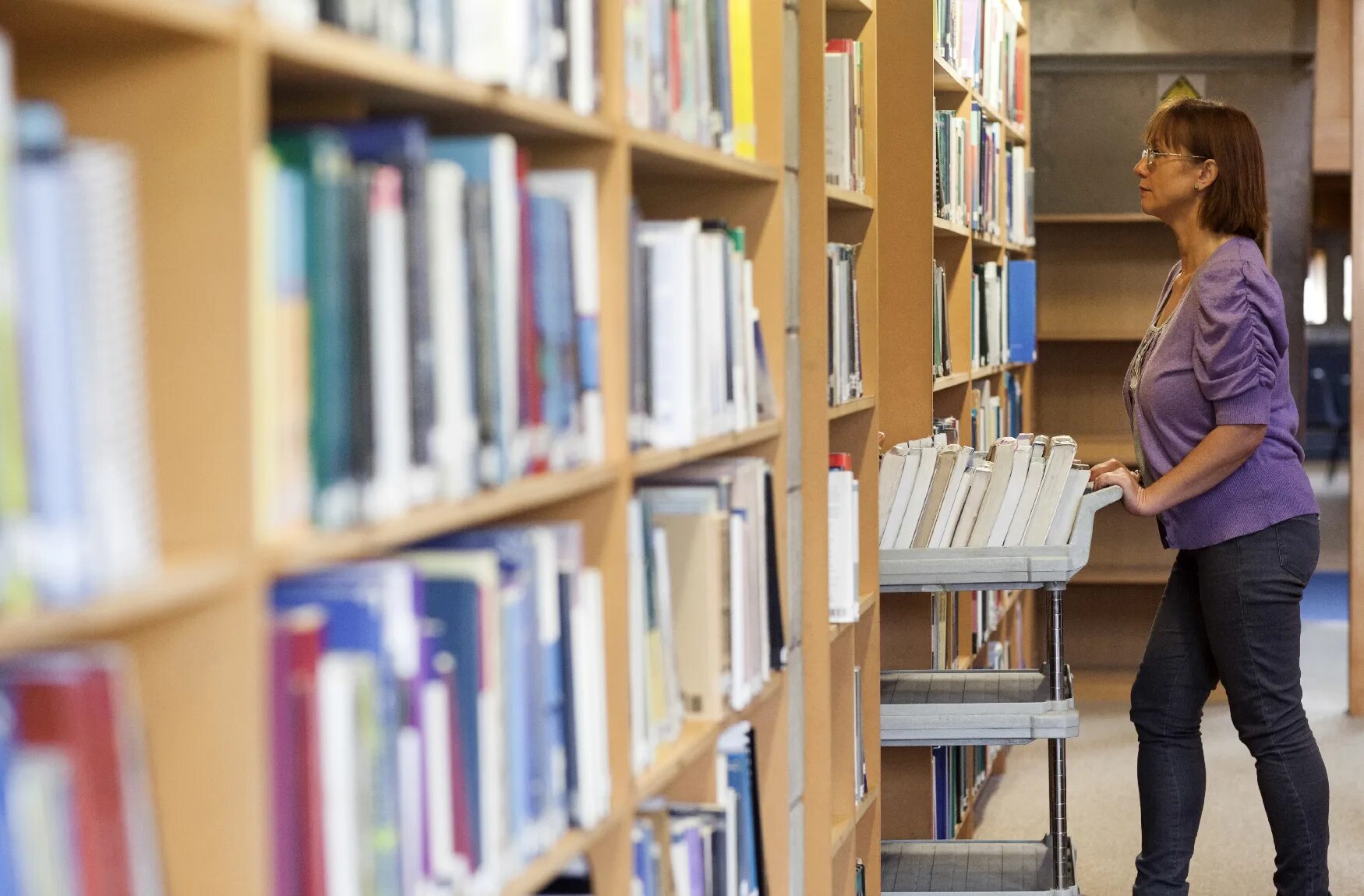 Библиотекарь. Сокращение библиотекарей. Сокращение библиотекарей. Библиотекарь фото. Библиотекарь и читатель.