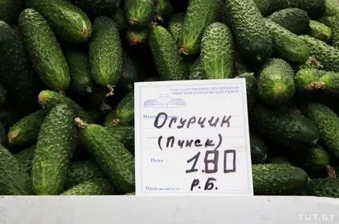 Почем огурцы