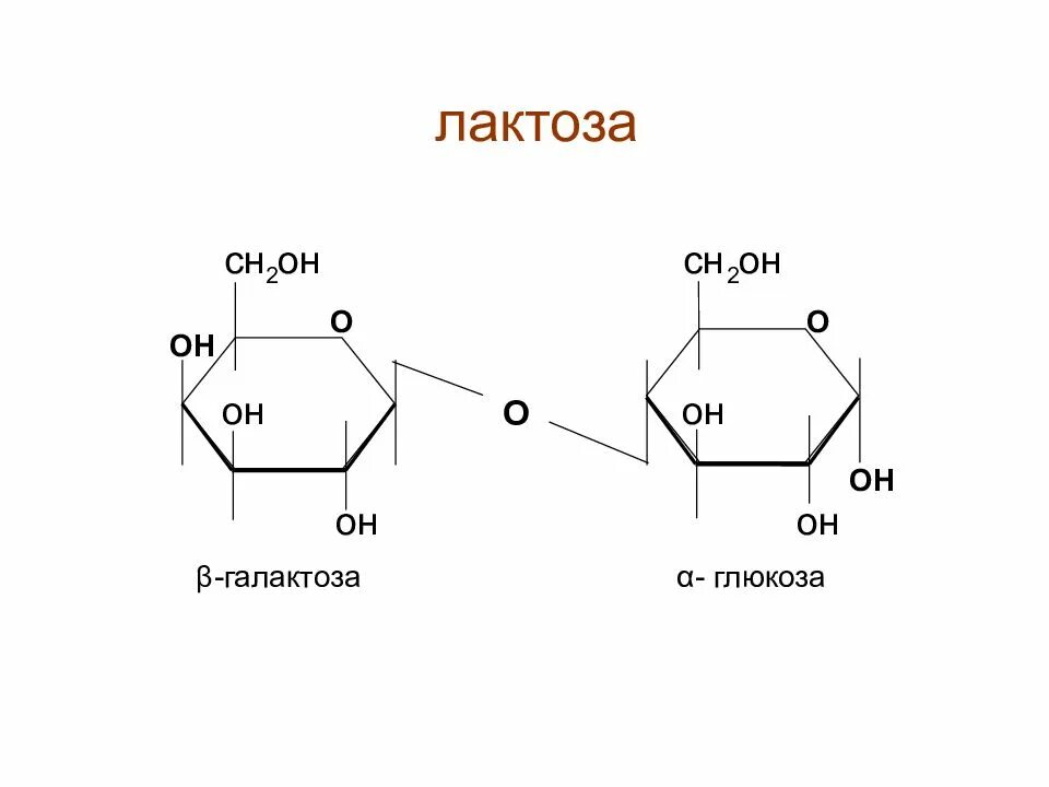 Ферментация лактозы. Лактоза химическая структура. Формула структуры лактозы. Строение лактозы биохимия. Химическая формула лактозы.