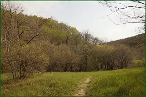 Логиком ростов. Логиком ростов