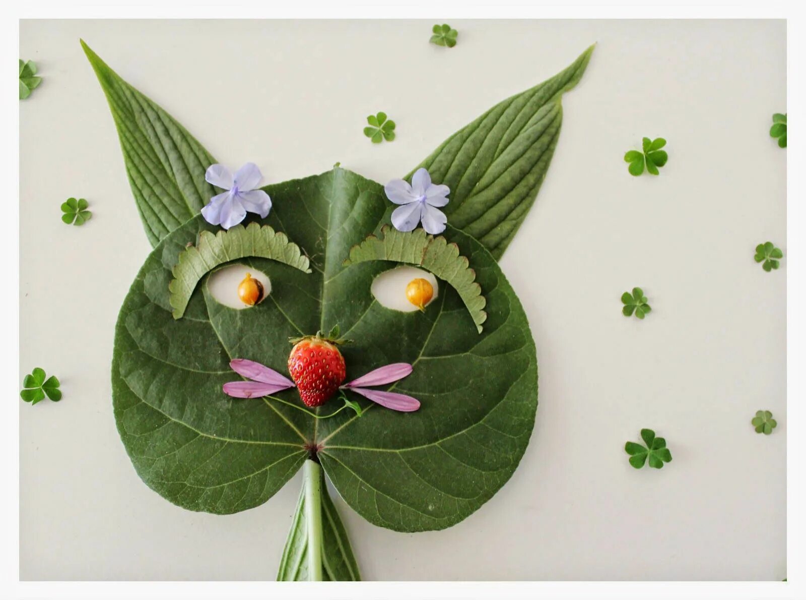 панно из натуральных материалов. композиция из сухих листьев. природный материал. растения из природного материала. ошибана аппликация из растений.