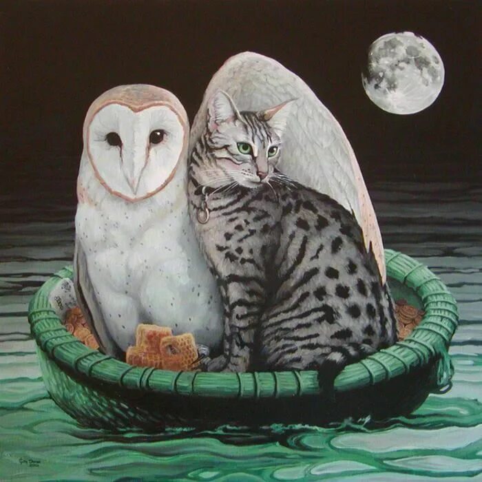 The owl and the pussycat. Гибрид Совы и кошки арт. Stravinsky the Owl and Pussycat. Stravinsky the Owl and the Pussycat Autograph.