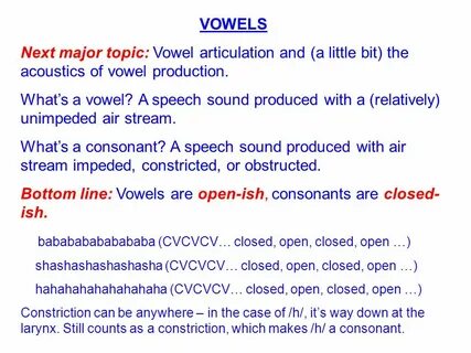 Which words are being defined