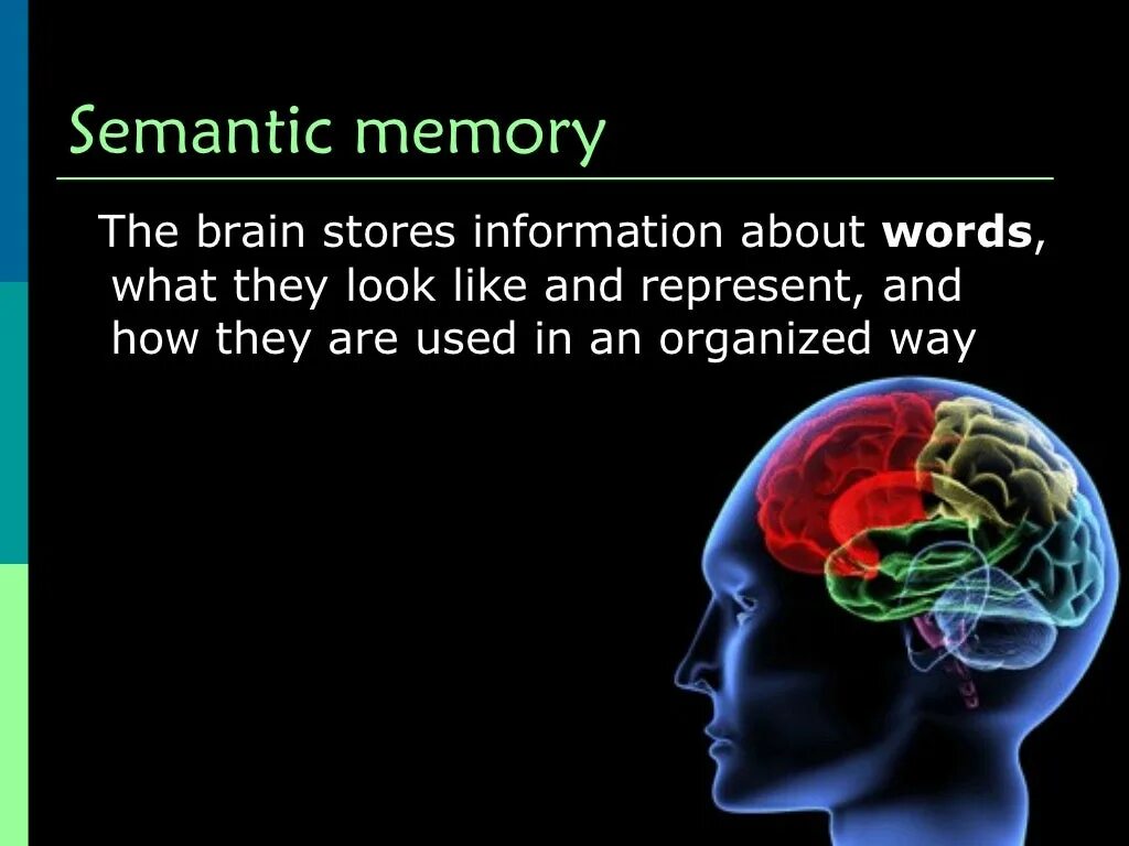 What memory is like. Semantic memory. episodic and semantic memory. sensory memory. human memory.