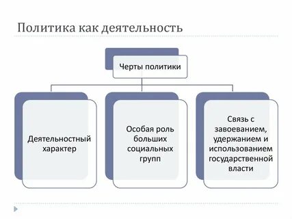 Структура политики как деятельности