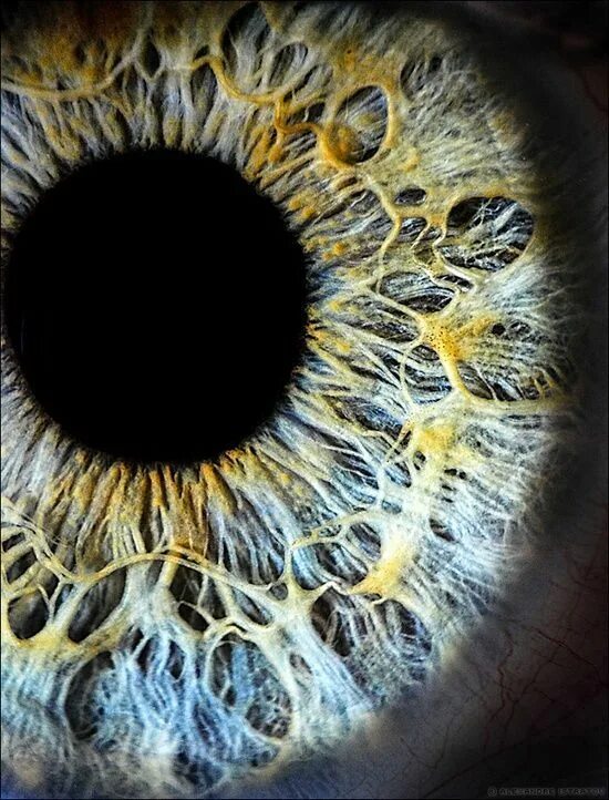 Closeups Of The Human Eye Look Like Outer Space! - Awesome post Eye close up, Yo