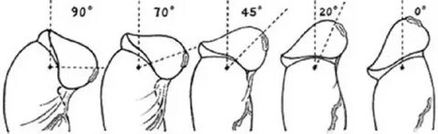 Uy qurilishi porno ona ogli