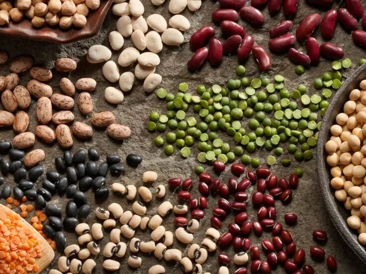 Beans build
