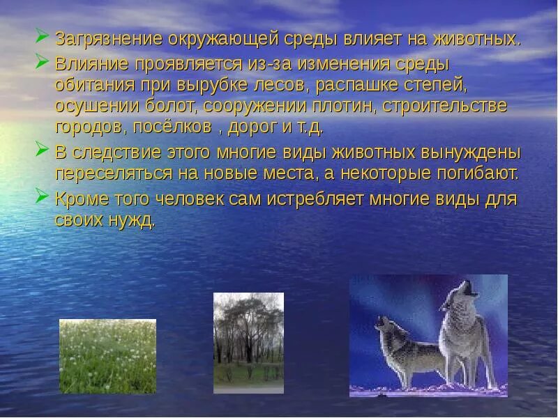 Влияние окружающей среды на продолжительность жизни человека. Влияние животных на окружающую среду. Влияние природы на животных. Влияние экологии на животных. Влияние среды обитания.