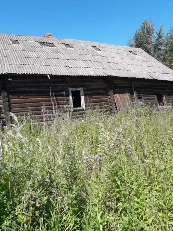 Шильпухи. Фотографии первомайский детский дом деревня шильпухово. Погода в шильпухово первомайский. Погода в шильпухово первомайский. Деревня шильпухово.