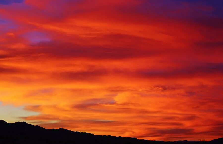 Небо цвета манго. Фф an Orange coloured Sky. Orange colored Sky&quot; Трусова