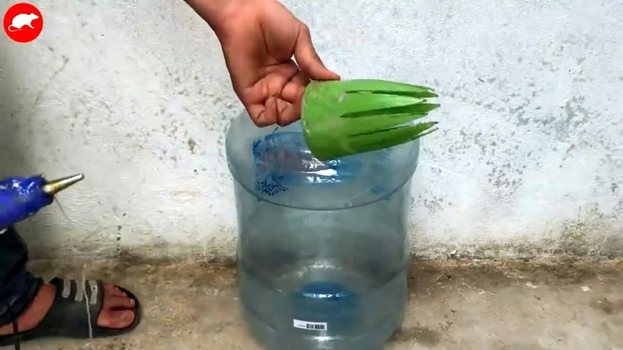 Крысоловка из пластиковой бутылки. Самодельная мышеловка. Самодельная ловушка для мышей. Ловушка для мышей из бутылки. Ловушка для мышей из 5 литровой баклажки.