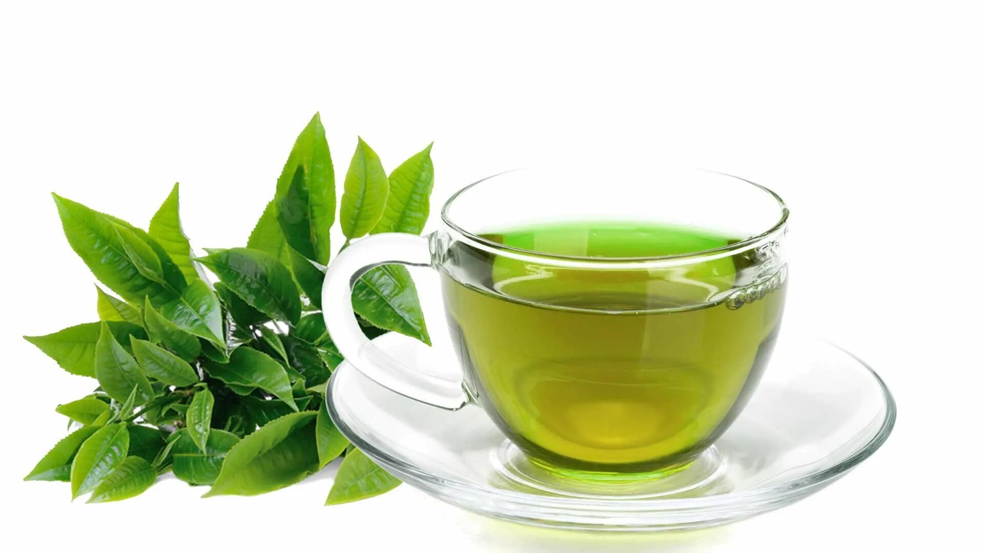 Зеленый чай Green Tea. Чай зеленый "чай Великого императора". Чашка зеленого чая. Чашка чая на белом фоне.