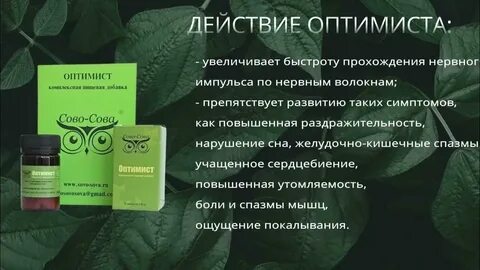 Сово сова отзывы