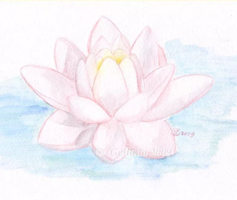 лотос цветок карандашом. рисунки цветов карандашом. рисунок лотосов простым карандашом. лотос цветок рисунок. как нарисовать лотос карандашом.