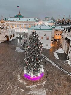 Где стоит главная елка
