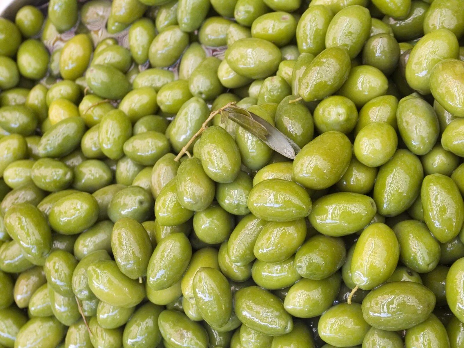 Olive ii