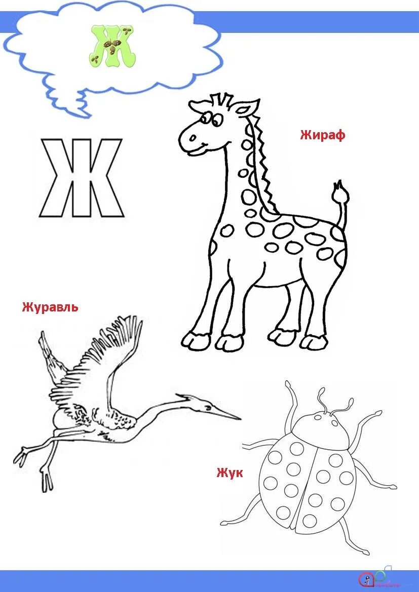 Автоматизация ж жираф, желудь, журавель. Жаба и жуки рисунки. Жаба жук жираф как назвать одним словом. Слова на букву ж. Жаба жук жираф как назвать одним словом.
