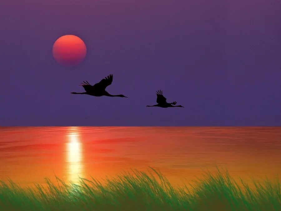 Журавли летят над полем. Журавлиный Клин на закате. Птицы на Восходе солнца. Птицы на фоне заката. Журавлиная стая на Восходе солнца.