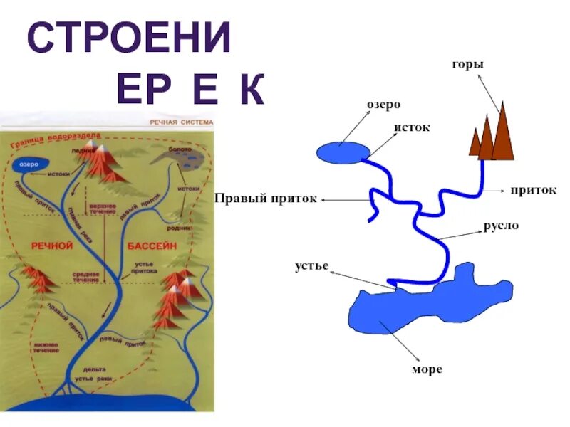 Общее направление реки. Река русло Исток. Схема реки Исток русло Устье. Что такое Устье реки и Исток и русло и приток. Исток Устье русло Дельта схема.