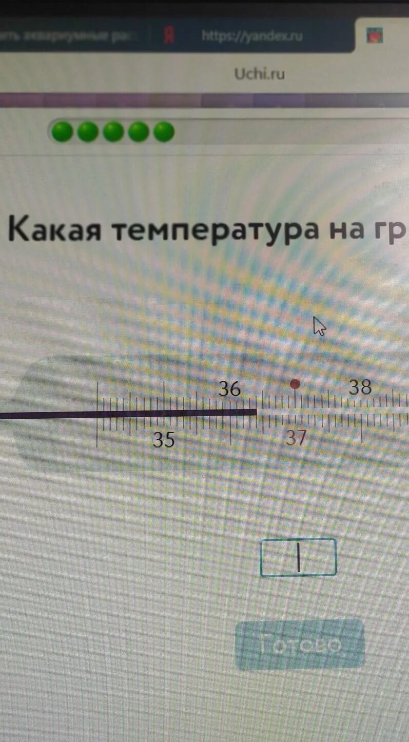 Установить температуру на 1. Градусник в учи ру. Какая температура на градуснике. Какая температура на градуснике учи ру 6 класс. Учи ру какая температура на градуснике 5 класс.