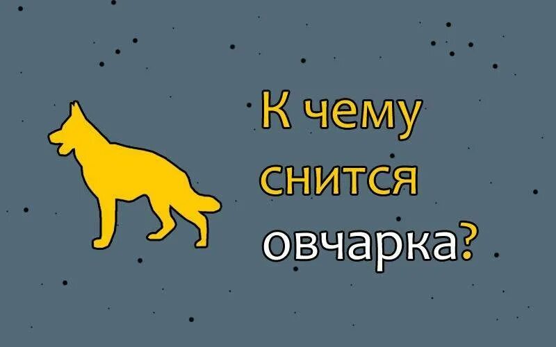 К чему снится что тебя кусает собака. К чему снится собака. Видеть во сне собаку. Снится добрая собака.