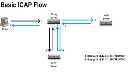 E3s web of