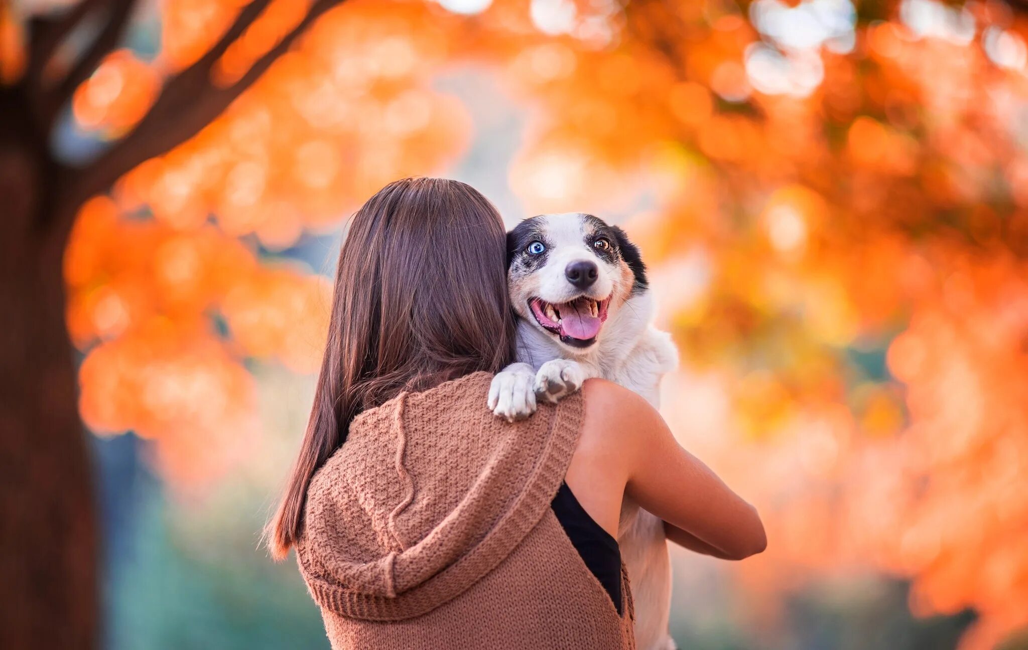 Woman 3 dog. Девушка. Девушка с собачкой. Фотосессия с собакой осенью. Осенняя прогулка с собакой.