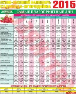 Удачные дни для посадки в марте 24