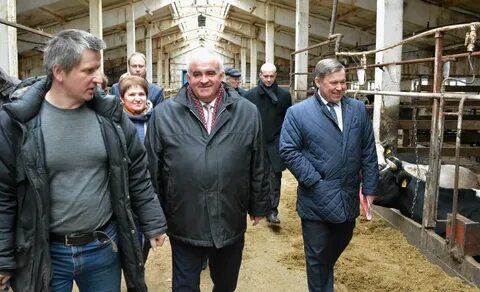Апк костромской