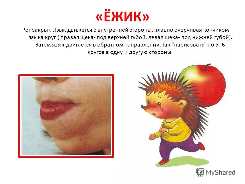 Артикуляция губ и языка