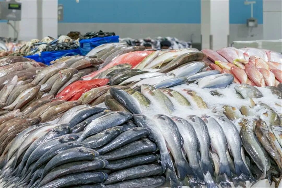 Цукидзи токио. Прилавок рыбного магазина. Оптовый рыбный рынок. Оптовые магазины рыбы. Рыбная витрина выкладка.