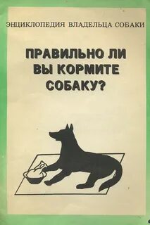 Кормить значение