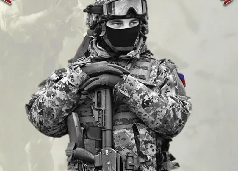 Барс боевой армейский. Барс боевой армейский резерв. проект барс минобороны. барс армейский резерв специальный. барс мобилизационный резерв.