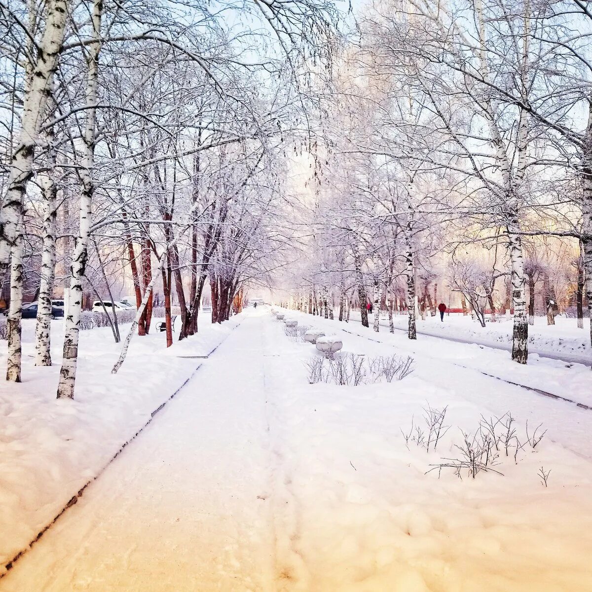 Погулять в красноярске зимой. Зимний день в городе. Красноярск природа зимой. Парк Сокольники природа зима. Парк Сокольники зимой.