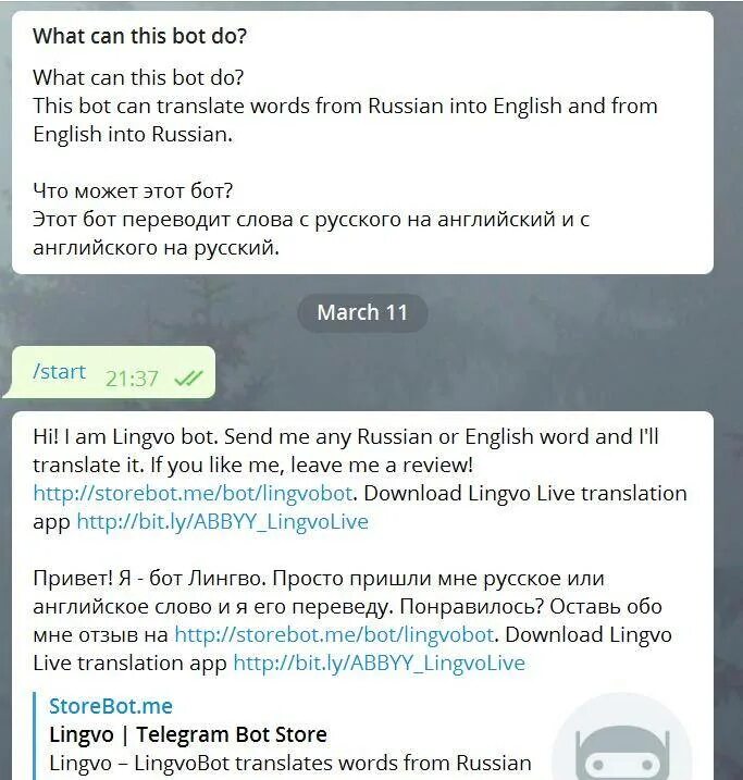 Приветствие для бота в телеграмм. Бот перевод. Бот телеграм на перевод. Переводчик телеграм. Телеграмм в телефоне на английском