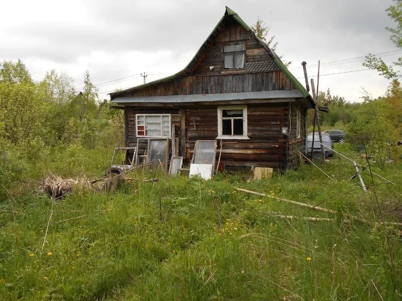 Купить дачу в ленинградской области тосненский. Родничок Тосненский район. Садоводство Родничок массив поги. СНТ Родничок Тосненский район. СНТ Форносово Тосненский район.