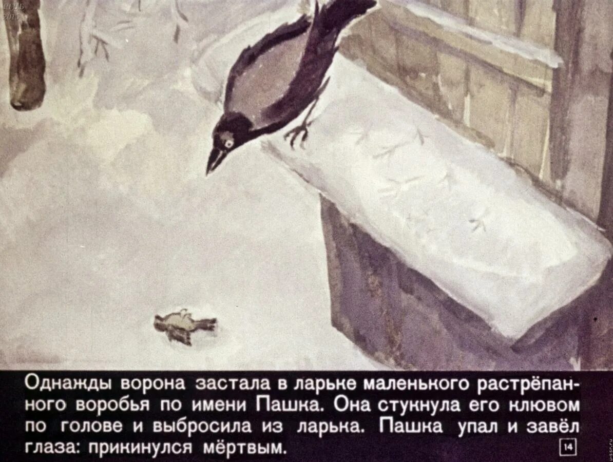 Взъерошенный воробей