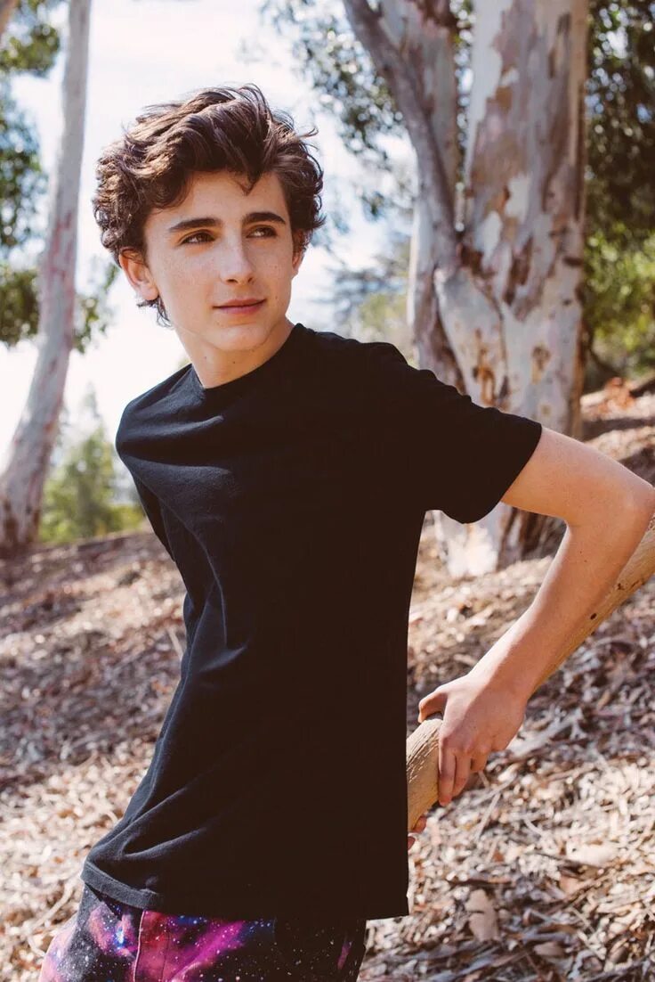 Тимоти Шаламе в 15 лет. Тимоти Шаламе в 14 лет. Timothee Chalamet. Тимоти Чаламет Регулус Блэк. Молодые парни 14 лет